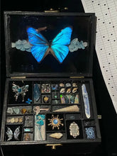Butterfly specimen gift - music box - Morpho menelaus